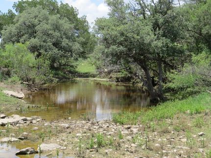 Timberland Property for sale in Terrell County, Texas
