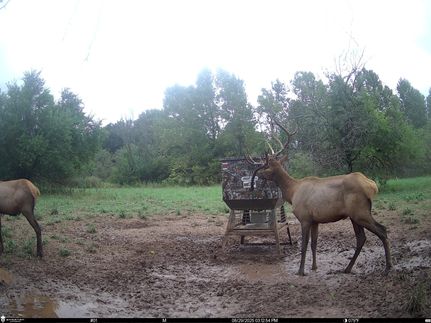 Waterfront Property for sale in Pittsburg County, Oklahoma