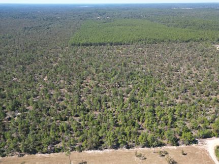 Timberland Property for sale in Washington County, Florida