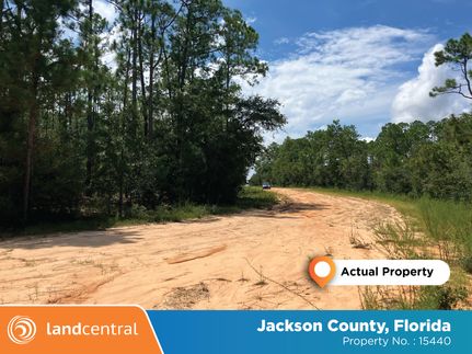 Farm and Ranch for sale in Jackson County, Florida