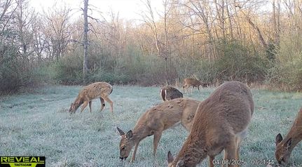 Land for sale in Randolph County, Missouri