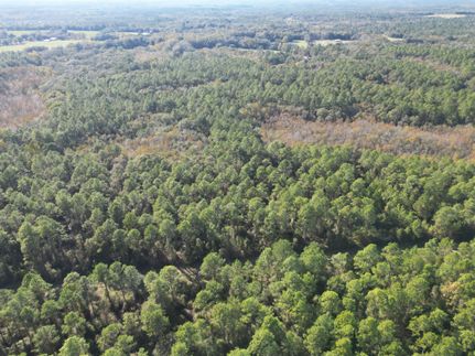 Land for sale in Holmes County, Florida