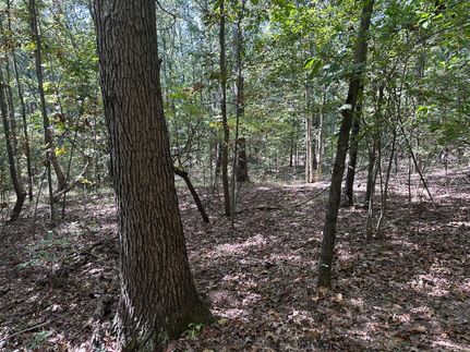 Timberland Property for sale in Wayne County, Illinois