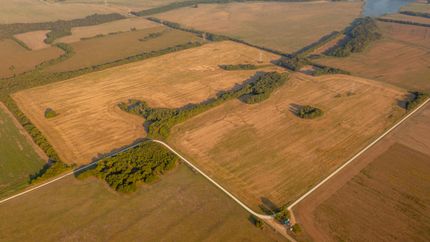 Farm and Ranch for sale in Lamar County, Texas