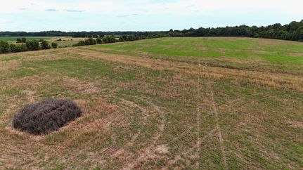 Timberland Property for sale in Gibson County, Tennessee