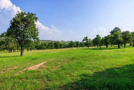 Undeveloped Land for sale in Gillespie County, Texas