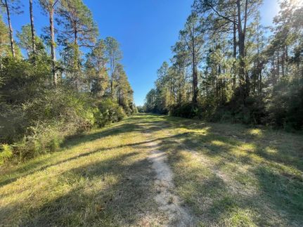 Recreational Property for sale in Holmes County, Florida