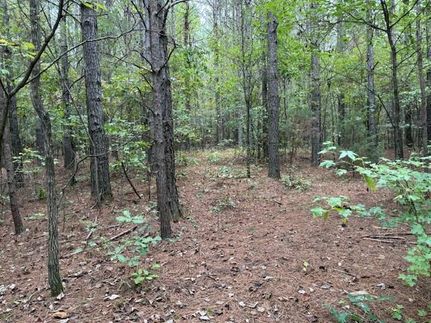 Recreational Property for sale in Monroe County, Tennessee