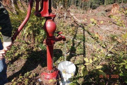 Land for sale in Pierce County, Washington