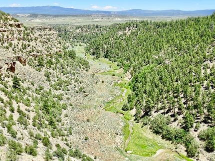 Timberland Property for sale in Rio Arriba County, New Mexico