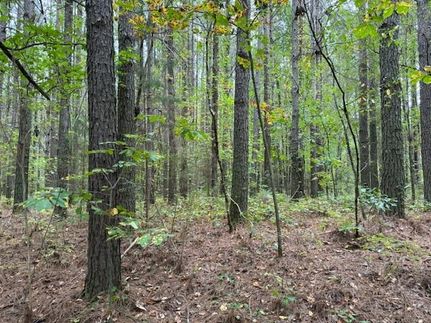 Recreational Property for sale in Monroe County, Tennessee
