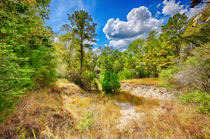 Timberland Property for sale in Walker County, Texas