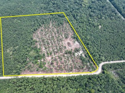 Hunting Property for sale in Trinity County, Texas