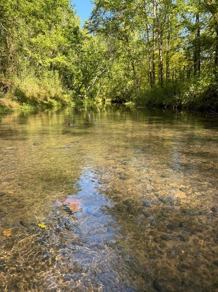 Recreational Property for sale in Tallahatchie County, Mississippi