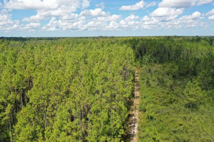 Hunting Property for sale in Taylor County, Florida