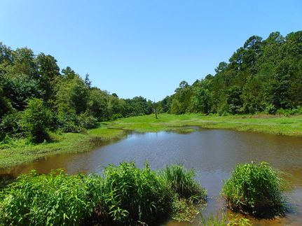 Timberland Property for sale in Le Flore County, Oklahoma