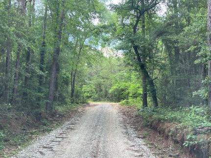 Timberland Property for sale in Leon County, Texas