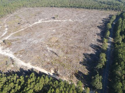 Recreational Property for sale in Escambia County, Alabama