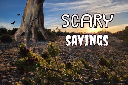 Undeveloped Land for sale in Cibola County, New Mexico