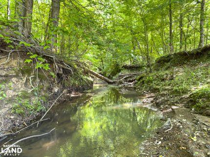 Recreational Property for sale in Lauderdale County, Mississippi
