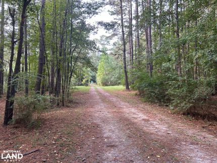 Undeveloped Land for sale in Berkeley County, South Carolina