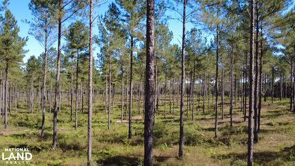 Recreational Property for sale in Houston County, Alabama