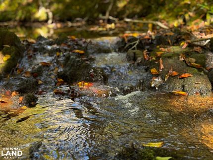 Recreational Property for sale in Lunenburg County, Virginia