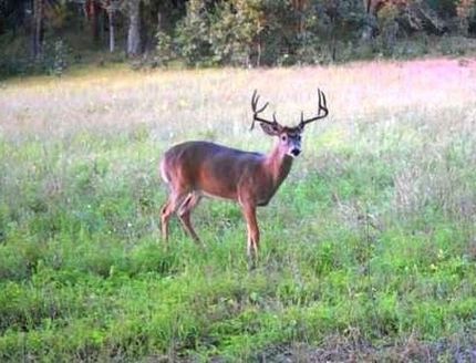 Land for sale in Waushara County, Wisconsin