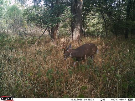 Hunting Property for sale in Cumberland County, Illinois