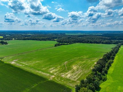 Undeveloped Land for sale in Johnson County, Illinois