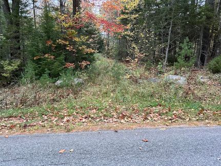 Land for sale in Lincoln County, Maine