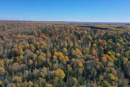 Land for sale in Saint Louis County, Minnesota