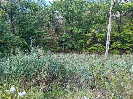 Undeveloped Land for sale in Cuyahoga County, Ohio