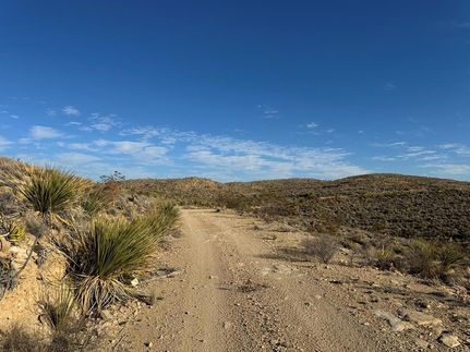 Undeveloped Land for sale in Brewster County, Texas
