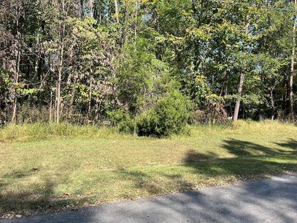 Undeveloped Land for sale in Franklin County, Virginia
