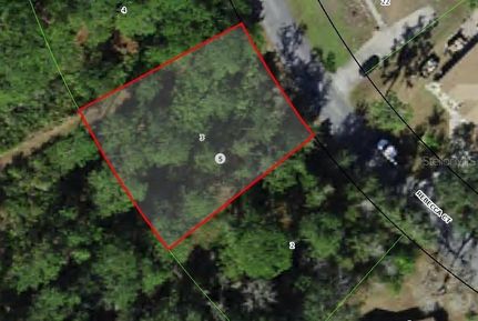 Undeveloped Land for sale in Citrus County, Florida
