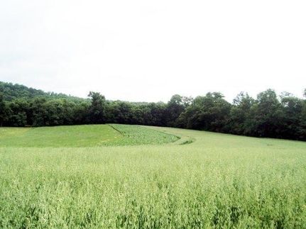 Undeveloped Land for sale in Armstrong County, Pennsylvania