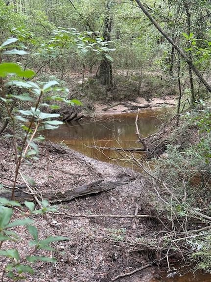 Undeveloped Land for sale in Jasper County, Texas