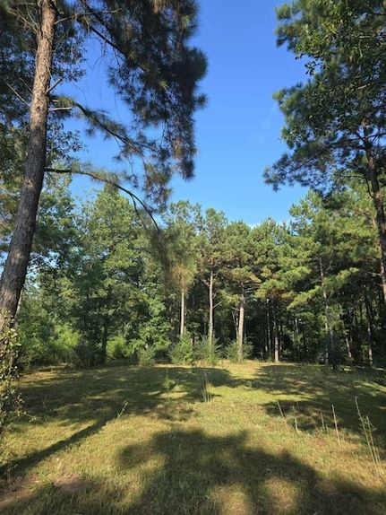 Undeveloped Land for sale in Jasper County, Texas