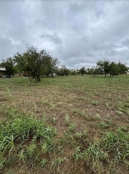 Undeveloped Land for sale in Coleman County, Texas