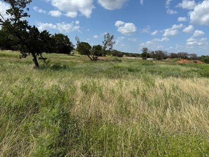 Undeveloped Land for sale in Taylor County, Texas