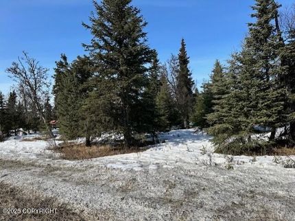 Undeveloped Land for sale in Kenai Peninsula Borough, Alaska
