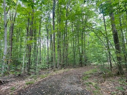 Undeveloped Land for sale in Antrim County, Michigan