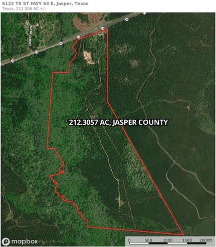 Undeveloped Land for sale in Jasper County, Texas