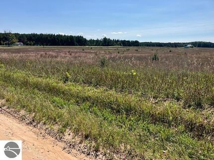 Undeveloped Land for sale in Grand Traverse County, Michigan