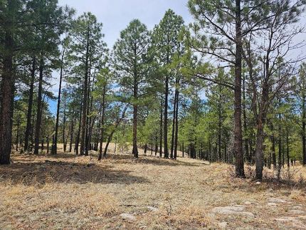 Farm and Ranch for sale in Coconino County, Arizona