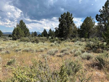 Undeveloped Land for sale in Klamath County, Oregon