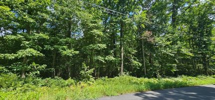 Undeveloped Land for sale in Sullivan County, New York
