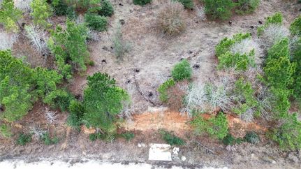 Undeveloped Land for sale in Bastrop County, Texas
