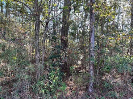 Undeveloped Land for sale in Harrison County, Mississippi